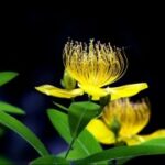 庆余年电游中最强装备获取途径分享 10sw6