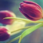 从零开始:成为一名成功的赏金女王的秘诀 13k0tglu7