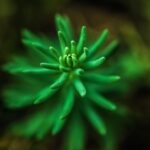 赏金女王的未来展望:她们的目标与理想 44fk7rf