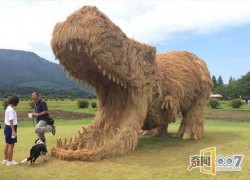赏金女王的职场生存法则与智慧分享