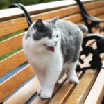 赏金大对决:参与者的心路历程与感悟 99b7z8d39e