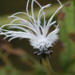 赏金女王的成功背后:支持与鼓励的力量 f35pb8