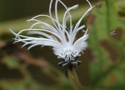 赏金女王的成功背后:支持与鼓励的力量