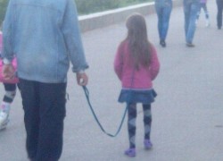 赏金大对决:从失败中学习成功的秘诀