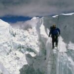 赏金女王的自我提升:终身学习的重要性 m0ol838ic