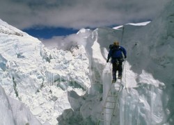 赏金女王的自我提升:终身学习的重要性