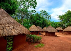 赏金女王的领导力:如何激励团队成员